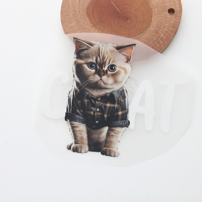 천아트 3D열전사지) 레터링 CAT 고양이-216번(97216), 1개