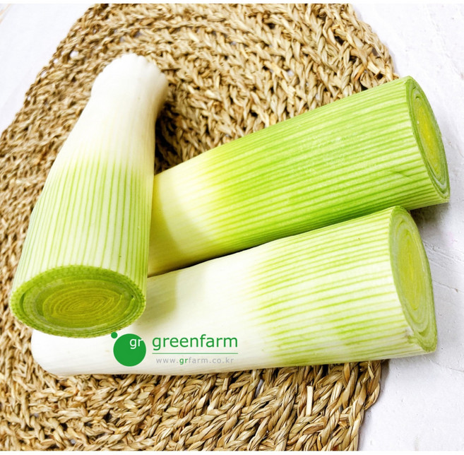 릭(서양대파)-약400g, 1개