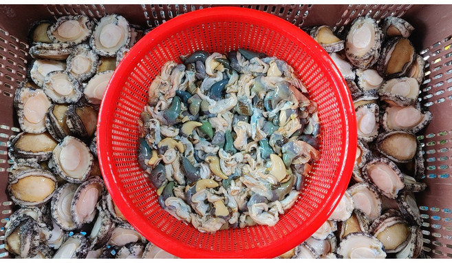전복내장 활전복 급속냉동 완도 보길도 전복게우 1KG, 1개