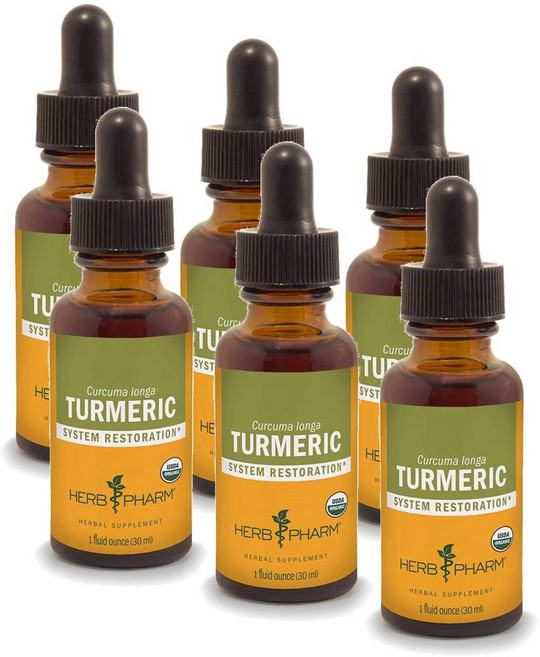 허브팜 터메릭 강황 추출물 Herb Pharm Turmeric Root Extract, 6개