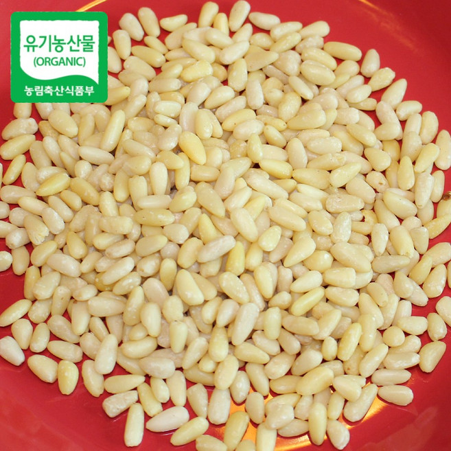 유기농인증 고소한 영월잣영농조합 백잣 황잣, 1개, 백잣 500g