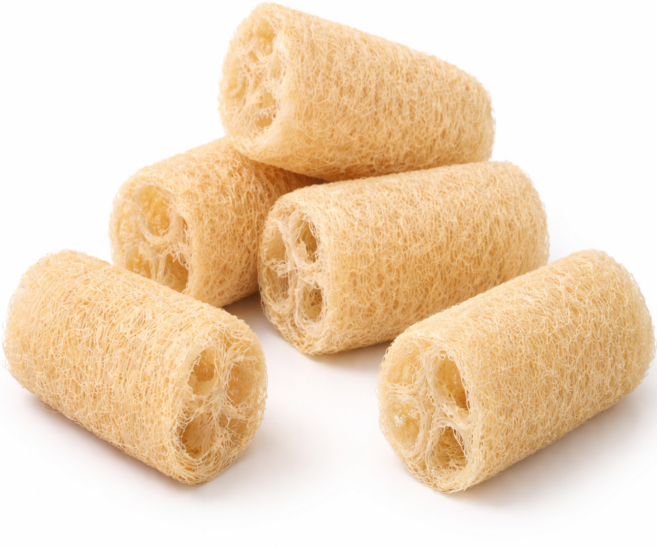 안전한 천연 수세미, 1개, 5개입