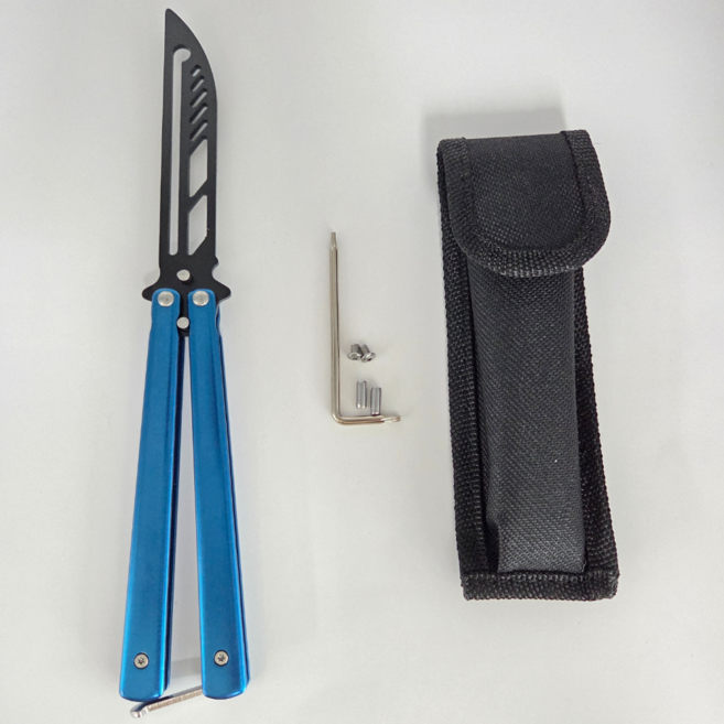 테일러 발리송 트레이너 연습용 TY-129, 1개, 스카이블루