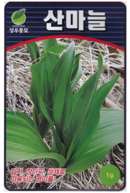 성우 산마늘 씨앗 1g 산마늘씨 명이나물 종자 키우기, 1개