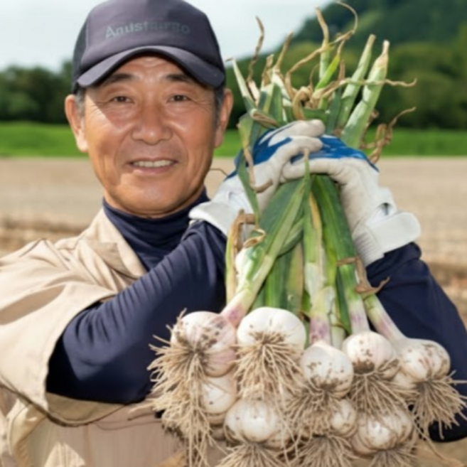 국산 의성 통마늘 저장마늘 토종 최상품, 1박스, 5kg (대,특대 혼합)