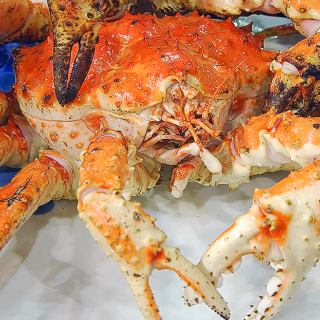 동해항직송 프리미엄 킹크랩 자숙 활 레드 블루 브라운 수율보장, 1박스, 자숙 킹크랩 2kg