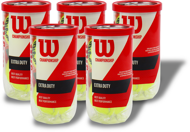 윌슨 챔피온십 테니스공 시합구 캔볼 5캔 10개입, 5개