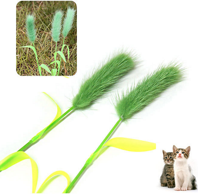 펫모닝 고양이 장난감 강아지풀 냥이 스트레스해소 및 지능개발 막대장난감, 1개, 그린