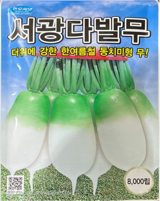 여름무씨앗 다발무종자 서광다발무 8000립