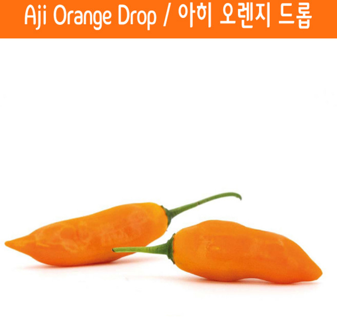 Aji Orange Drop / 아히 오렌지 드롭 페퍼 희귀 고추 매운고추 특수작물, 1개