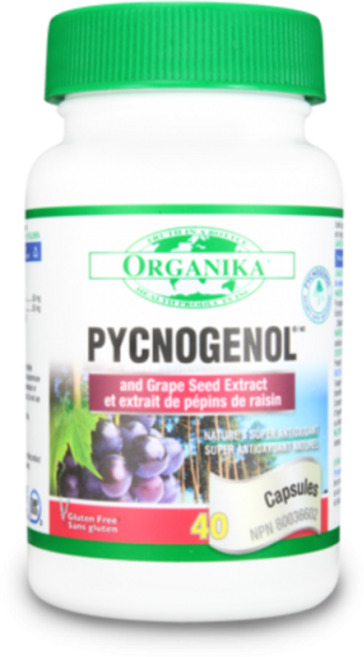 피트노제놀&포도씨 40/80caps ORGANIKA PYCNOGENOL & GRAPE SEED 오가니카올가니카 100mg, 80 CAPS