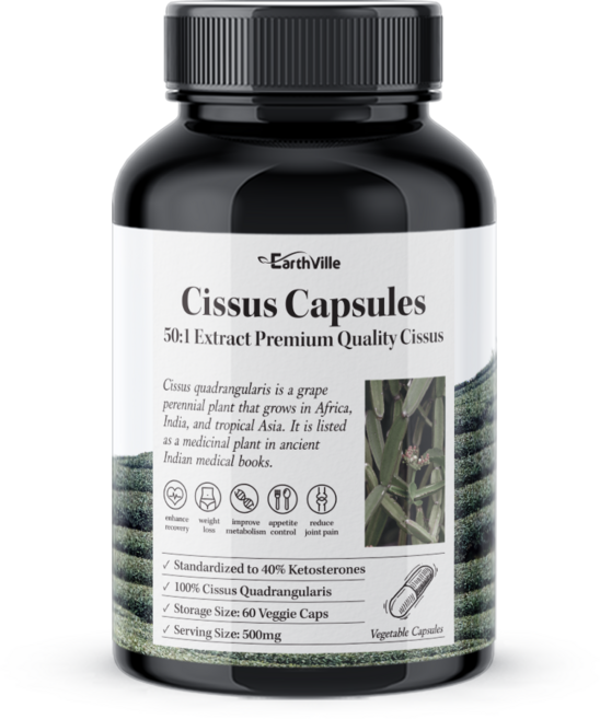 어스빌 시서스 알약 50배 고농축 25000 추출물 베지캡슐, 60정, 1개