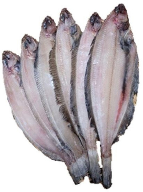 동해안 감포 울산 반건조 가자미 물가자미 미주구리 참가자미 조림 구이 10미 15미 20미, 1개, 01. 1.3kg/24cm내외(20미)