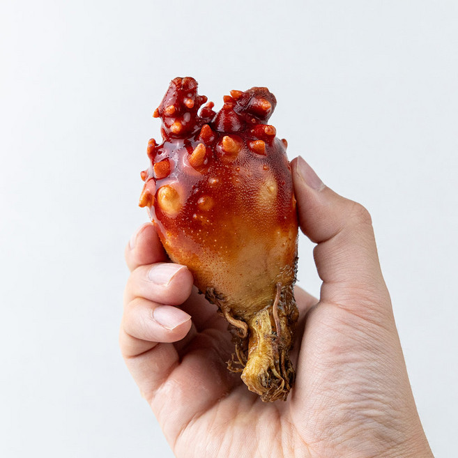 산지직송 통영 멍게 당일수확, 1박스, 3kg(45미 내외)