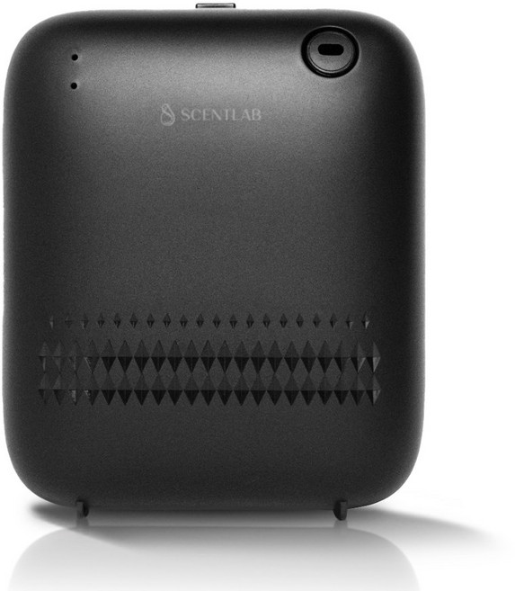 센트랩 벨로라 미니 대용량 스마트 향기 자동 분사 전기 자동 방향제 화장실 소형공간 디퓨저, 1개, 50ml, 블랙(앰버릴리)