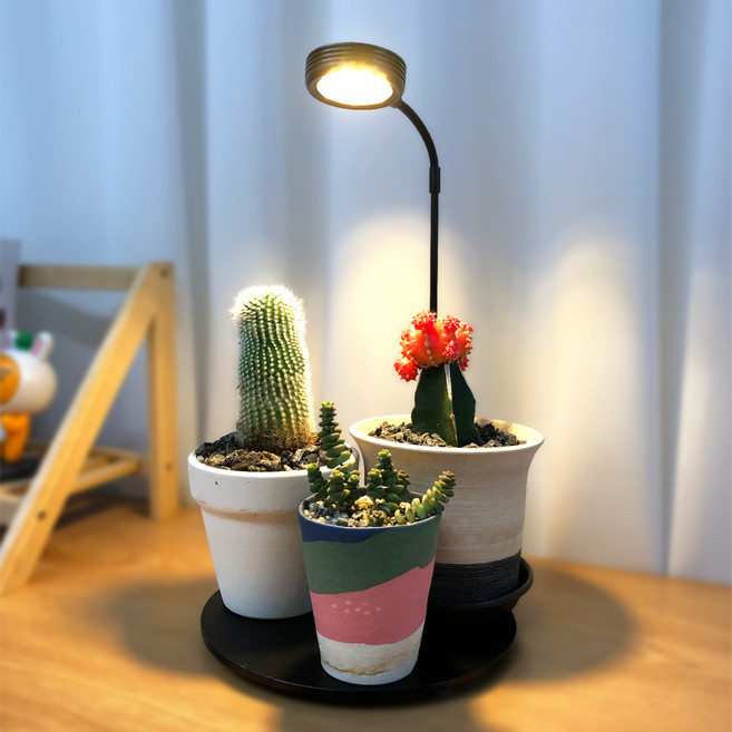 식물전파사 데스크 식물등 확산형 식물조명 식물등led, 1개, 전구색