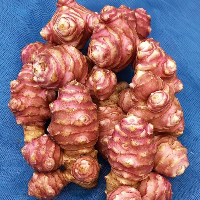 세척돼지감자 자색돼지감자 생돼지감자, 1개, 10kg