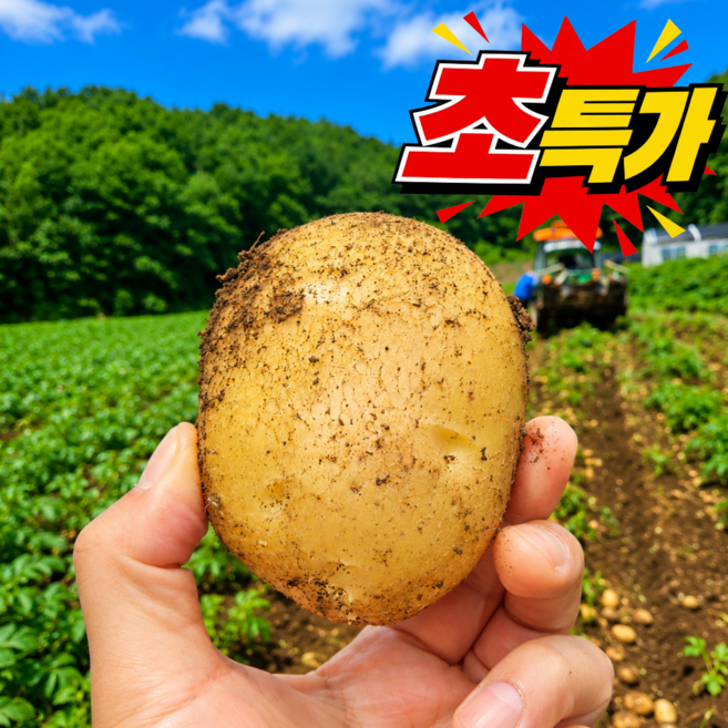 [한정수량초특가] 산지직송 국내산감자 햇감자 수미감자, 1박스, 3kg (중)