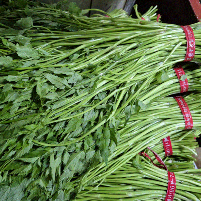 순천만 청정 미나리 국내산 당일수확 발송, 1박스, 1kg