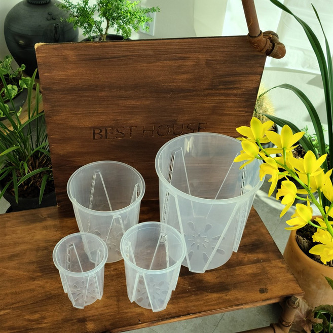 베스트하우스협력사 고투명 슬릿분 슬릿화분 삽목화분 12cm, 1개