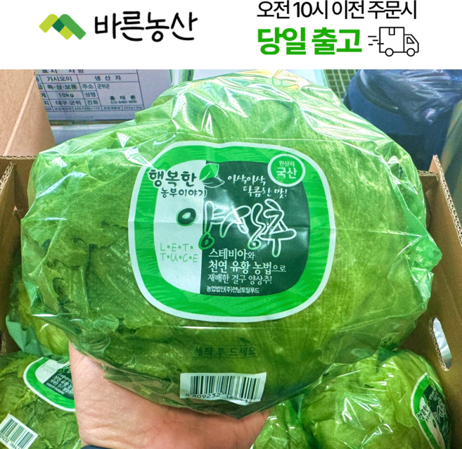 < 바른농산 > 국내산 포장 양상추, 6개, 350g