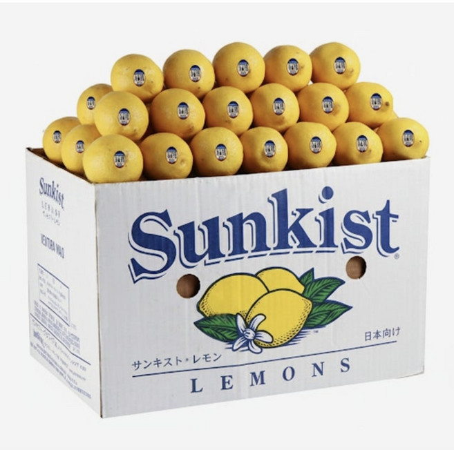 코스트코 팬시 PCN 레몬 대과 프리미엄 로얄과 최상급, 1개, 썬키스트 115과 17kg 특대과 (개당 145g)