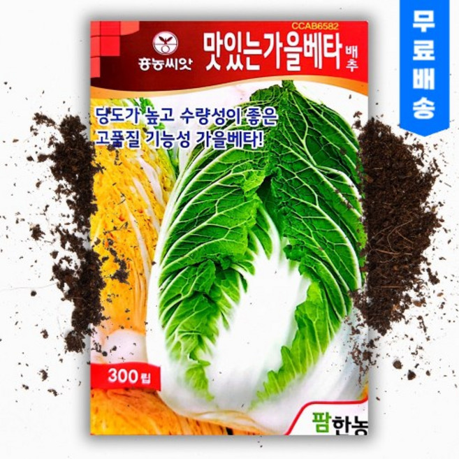 씨앗팜 맛있는 가을 베타 김장용 배추 씨앗 종자 300립 베타카로틴 항암 배추, 1개
