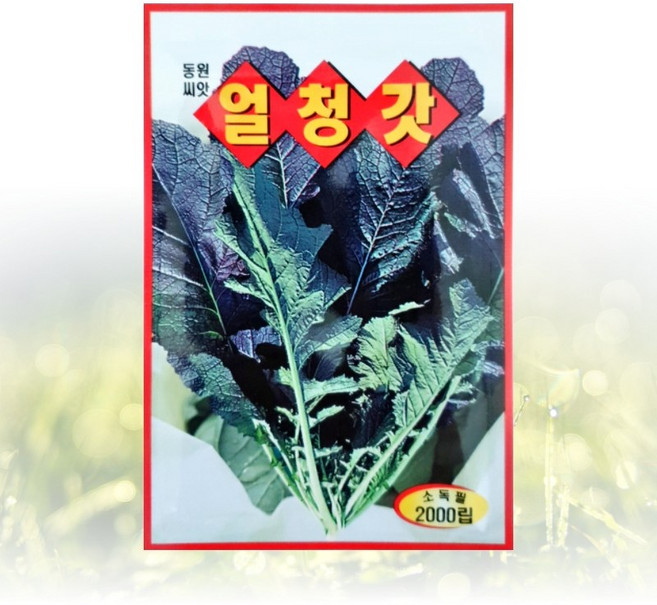농사친구 얼청 갓 씨앗 2000립 동원 씨 종자 김장 쪽파 고사리 항암 배추 베타 텃밭 베란다 모종 불암 토광 알타리, 1개