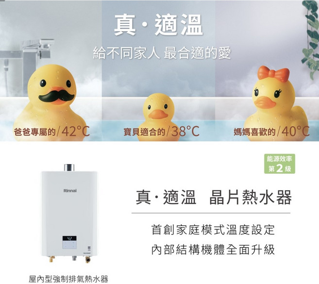 Rinnai 恆溫 強排熱水器, 16L(天然瓦斯)