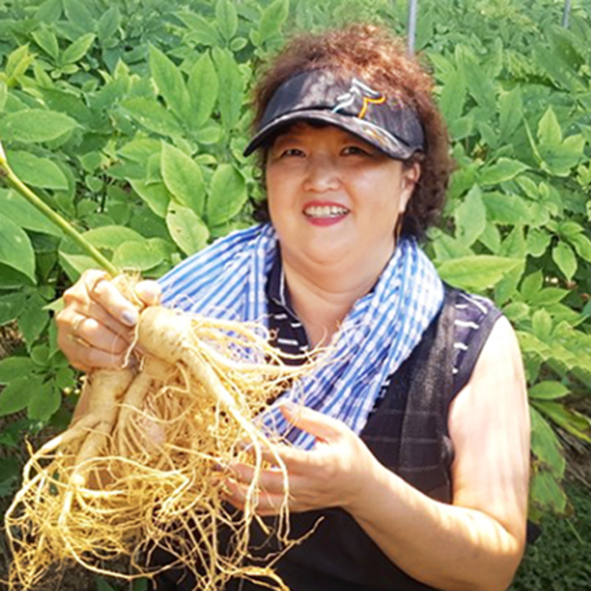 금산 후금이네 가정용 인삼 6년근 난발삼, 500g, 8-11편, 1개