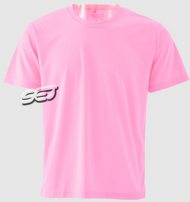 SEJ 台灣製造 排汗素T 圓領短袖吸濕速乾透氣機能涼感運動健身衫