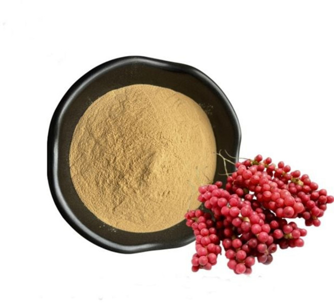 루체트리 오미자추출분말 1kg 가루 분말형, 1개