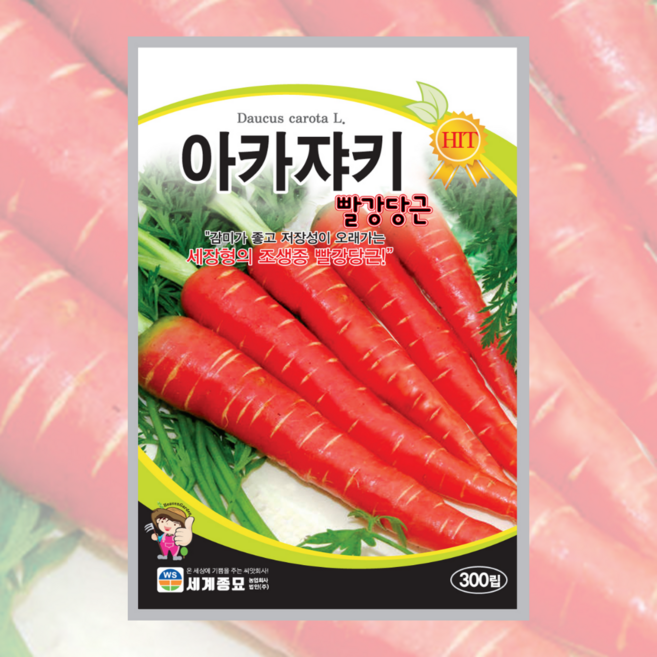 주주씨앗 김장 채소 씨앗 모음 / 배추 무 당근 알타리 갓 엇갈이 양파 종자 씨, 13. 아카베쯔(적양배추) 300립