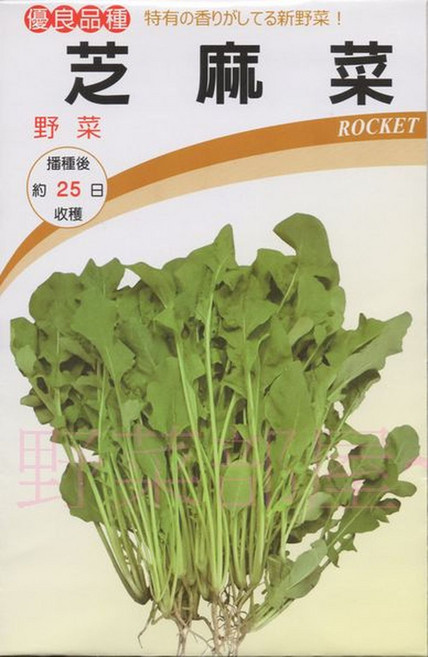 芝麻菜種子 ROCKET 箭生菜種子 約25日收穫, 1包