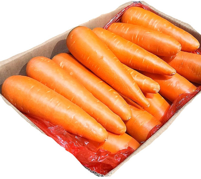 세척당근 중국산 수입당근 주스용 업소용, 1박스, 10kg(2L)