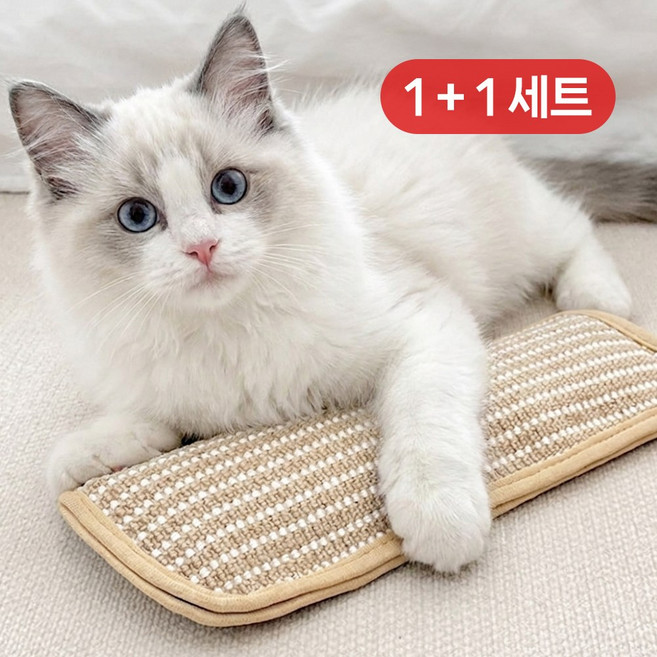 포포테일 캣민트 캣닢 고양이 장난감 베개 스크래쳐 지루함 해소 1+1, 2개