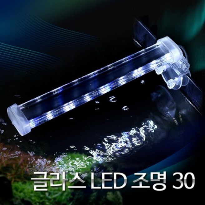 영아쿠아 글라스 LED 조명 30