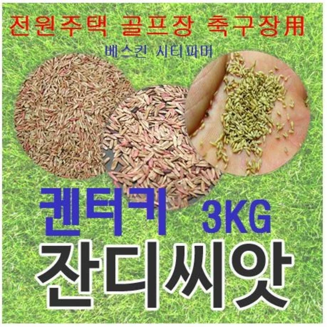 [정원 골프장 경사면/무료배송] 켄터키블루그라스 잔디씨 3kg 30평분량/발아율 80%이상 무료배송/잔디씨 잔디씨앗 양잔디씨 잔디씨앗, 3개 - 쿠팡
