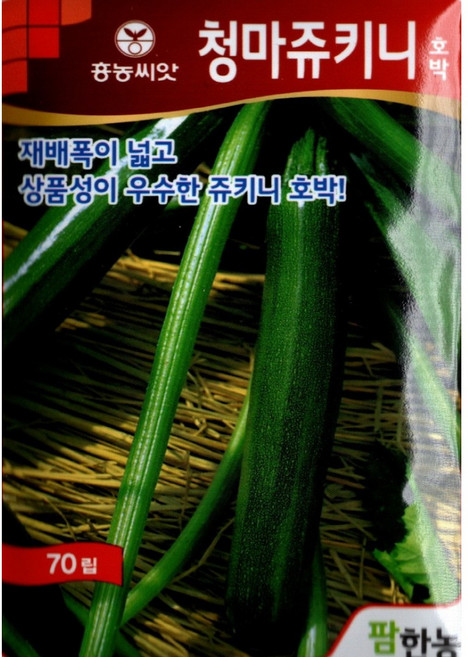 (씨앗) 청마쥬키니 - 상품성이 우수한 주키니 호박 씨앗 종자 - 70립, 1개