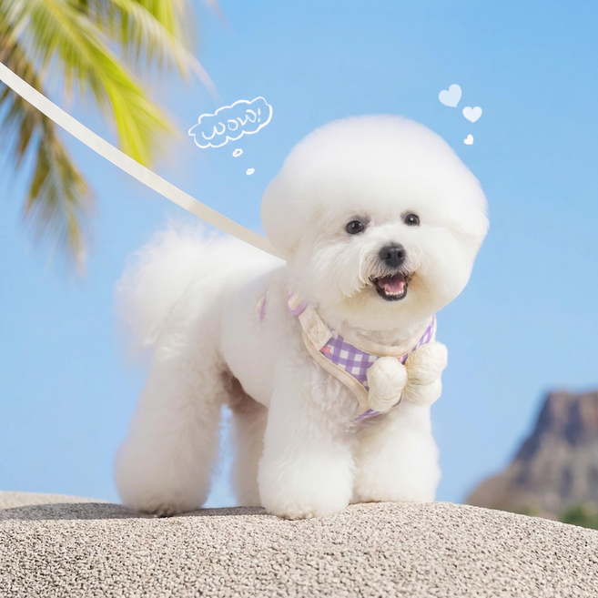 소형견 통기성 하네스 목줄 세트 방풀벙 방지 야외산책용, 1개, 자주색