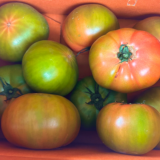 [유명산지] 고당도 제철 산지직송 오리지널 부산 대저토마토, 1박스, 2.5kg (랜덤과 2L~2S)