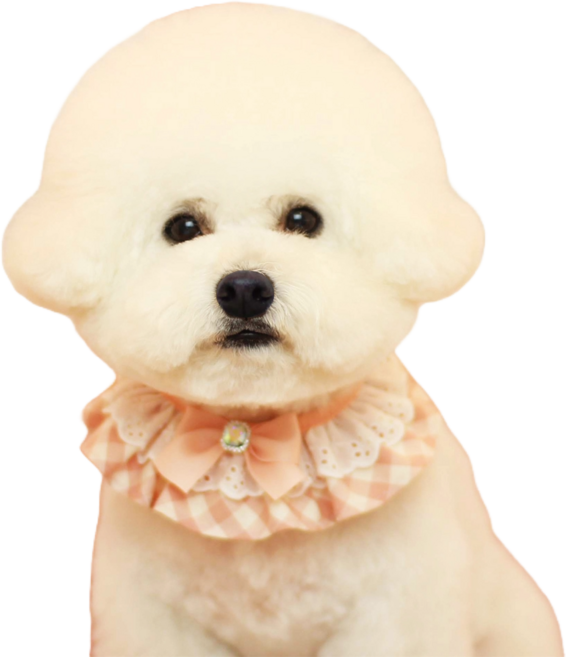 하니펫 반려동물 귀요미스카프 큐티체크프릴, 핑크, 1개