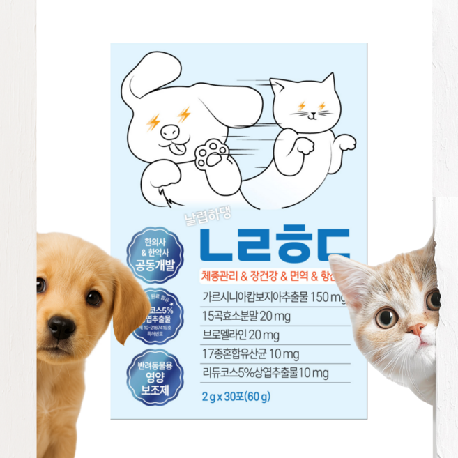 날렵하댕 반려동물 특허원료 장건강 체중관리 면역 향산화, 1박스, 종합영양제, 30회분