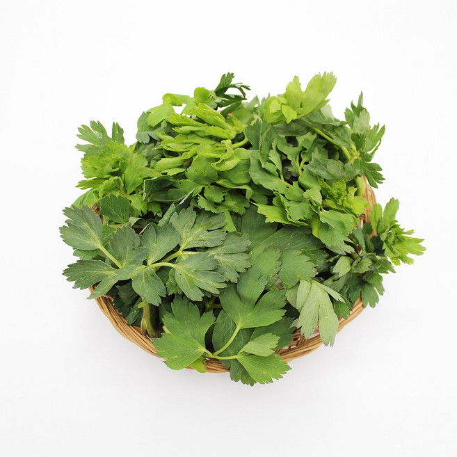 국내산 봄나물 방풍나물 무침 새벽수확 당일발송 겉저리 튀김 봄나물 나물반찬 500g, 1