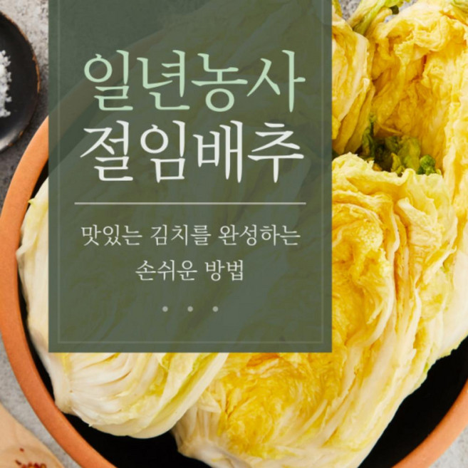 절임배추 해남 20kg 절인배추 김장 김장배추 해남배추 고랭지절임배추, 단품