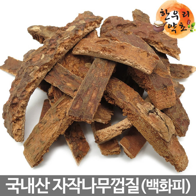 자작나무껍질 자연산 백화피 국내산, 300g, 1개