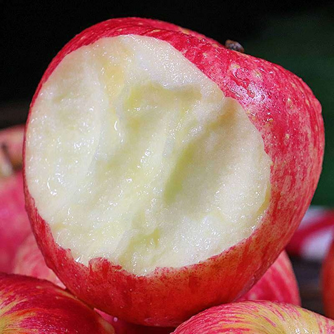 [한정수량특가] 아삭달달 초특가 못난이 부사사과, 1개, 2KG