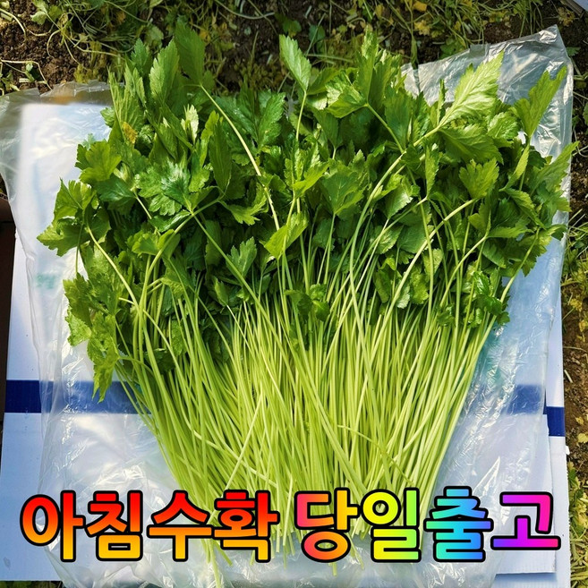 [소소한농장] 당일수확 산지직송 국내산 참나물, 1박스, 4kg