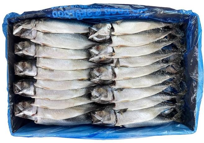 해물총각 간고등어 1박스 국내산 자반고등어, 4.2kg(20마리), 1개