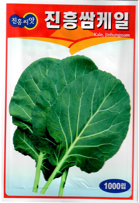 진흥 쌈케일 1000립 - 쌈케일 씨앗 종자, 1개